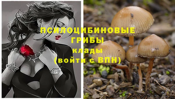 первитин Волосово