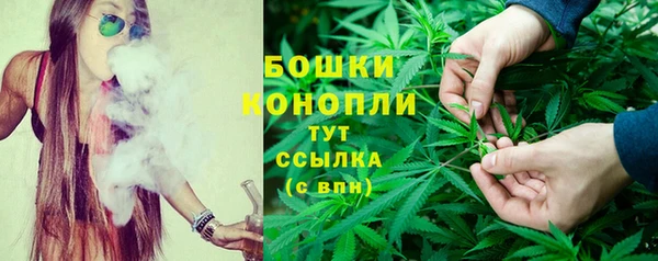 дурь Володарск
